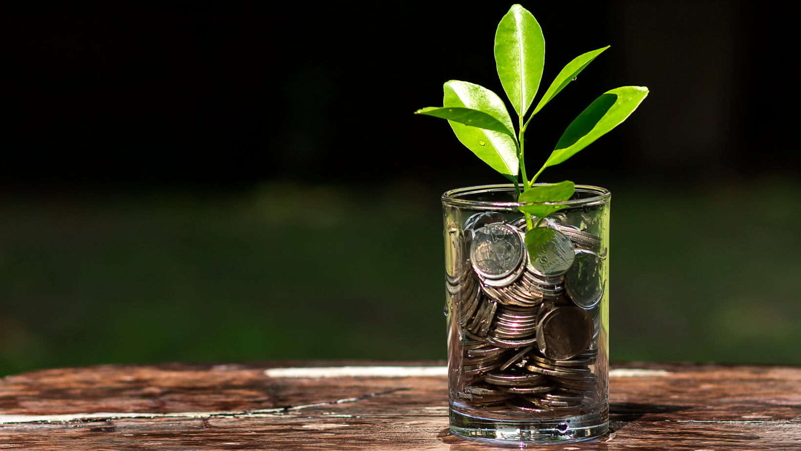 Mutual Fund and ETF